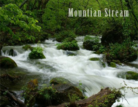 山溪Mountain Stream-班得瑞《春野》
