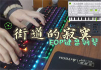 街道的寂寞 - EOP教程毕业学员弹奏